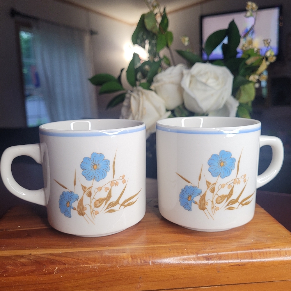 Ming Pao Mugs Vintage Blue Floral Cottagecore 1980